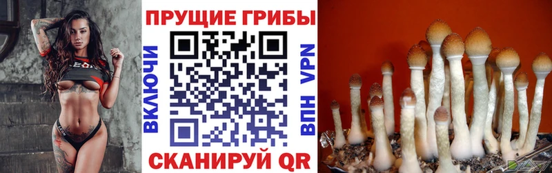 Галлюциногенные грибы Magic Shrooms  Бузулук 